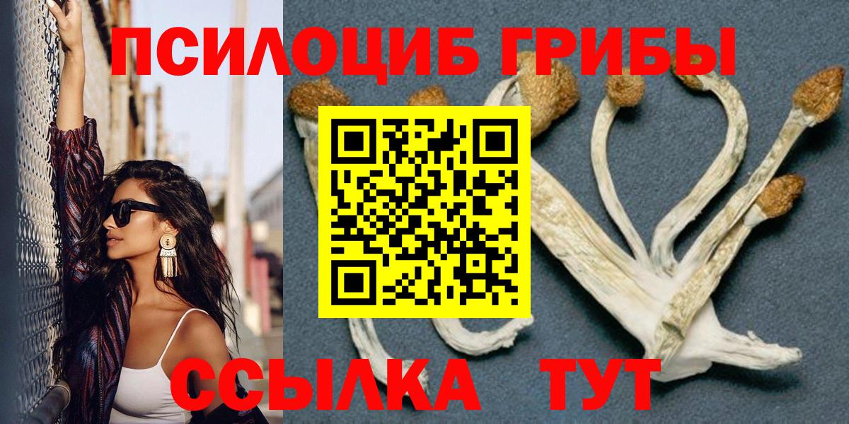 Галлюциногенные грибы Psilocybe Шахты