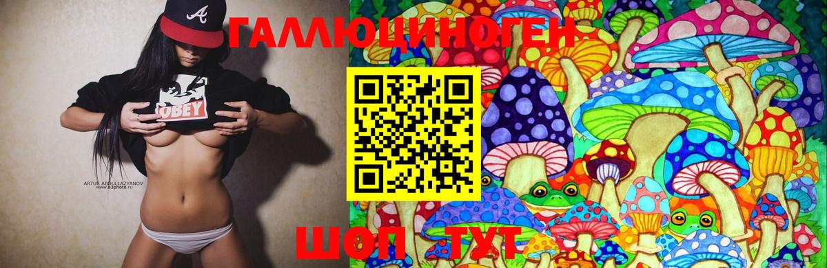 где купить наркоту  Вход с VPN  Шахты  Галлюциногенные грибы Cubensis 